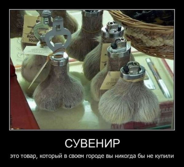 Демотиваторы – приколы: «Тренировочный центр» (19 фото)